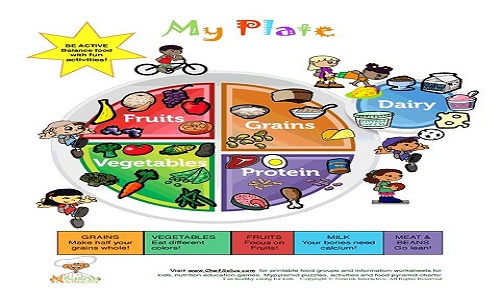 Hướng dẫn thực phẩm MyPlate