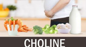 Choline trong chế độ ăn của phụ nữ mang thai