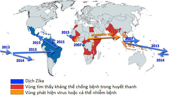 Bản đồ các vùng bị ảnh hưởng bởi Zika 1